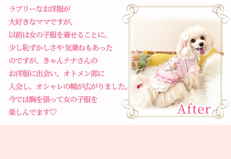 きゃんナナ犬服Lまとめ売り 公式きゃんナナオンラインショップ