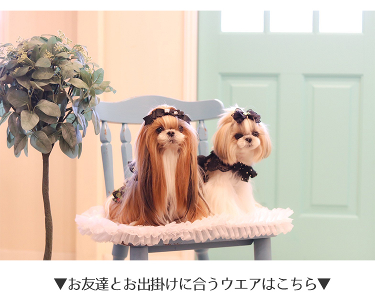 2022 新品 ドッグウェア 犬服 猫服 ロリータ ワンピース 編み上げ