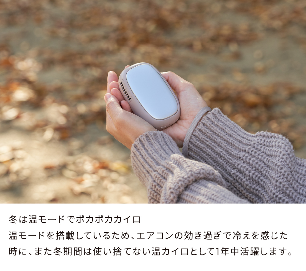 Life on Products（ライフオンプロダクツ） アイスカイロ LCAEA022