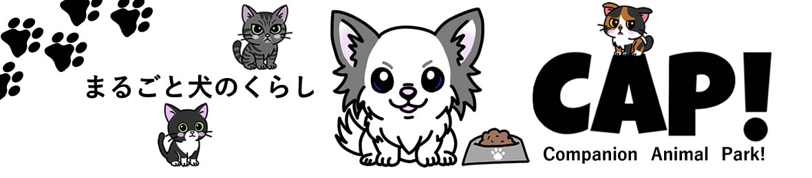 CAP! ヘッダー画像