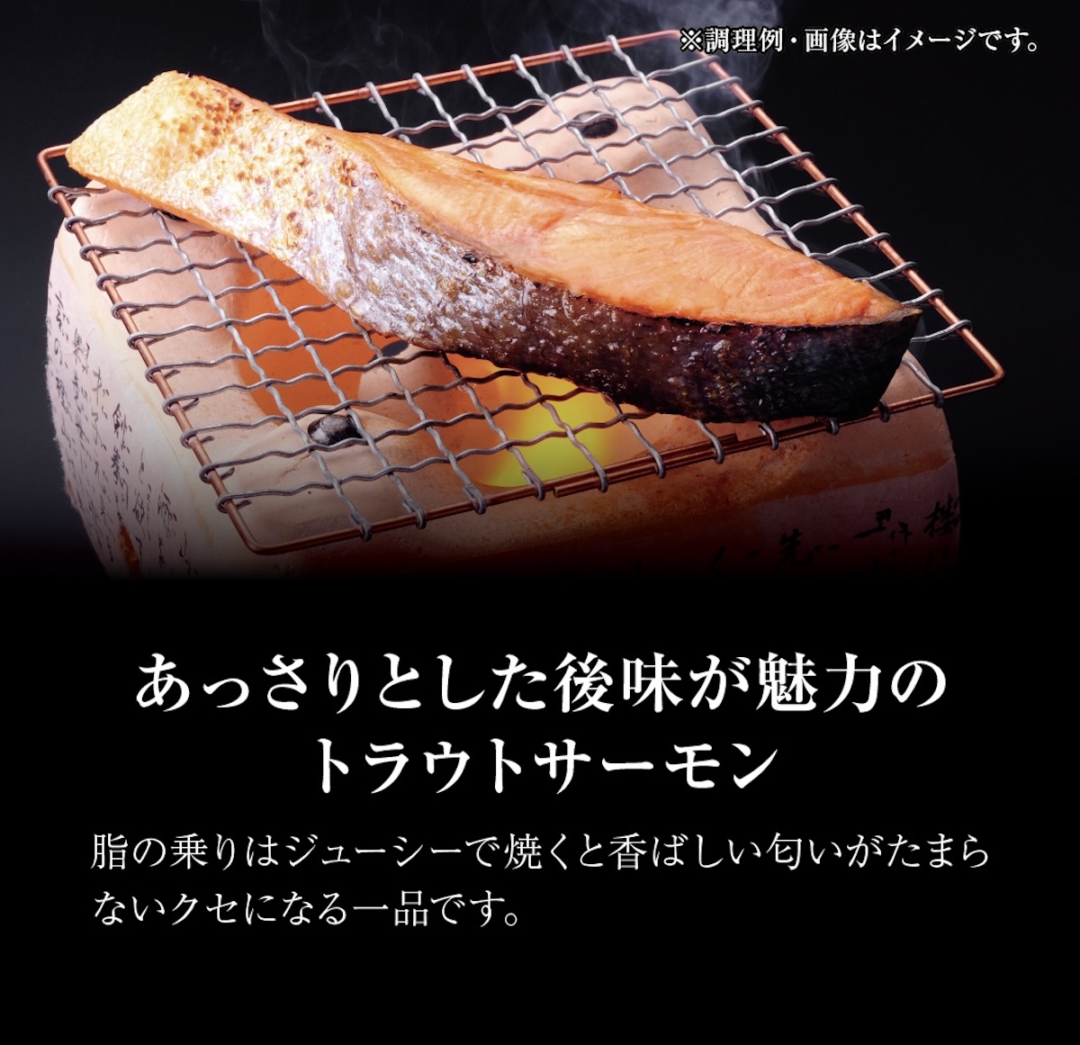 お中元 鮭 さけ サケ サーモン ギフト プレゼント 贈り物 グルメ ご褒美 トラウトサーモン4切と銀鮭4切 詰め合わせセット ありがとう 鮭、サーモン 