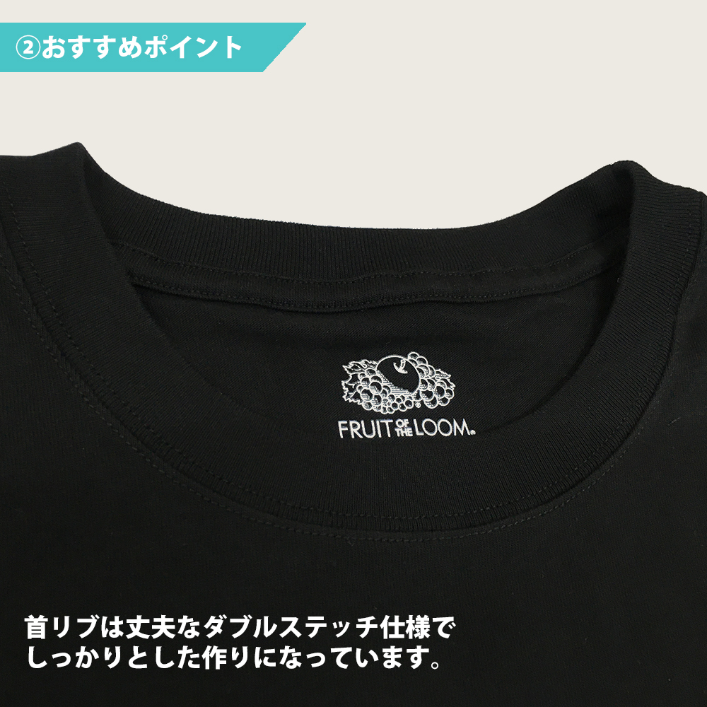 フルーツオブザルーム Tシャツ 無地 ポケなし