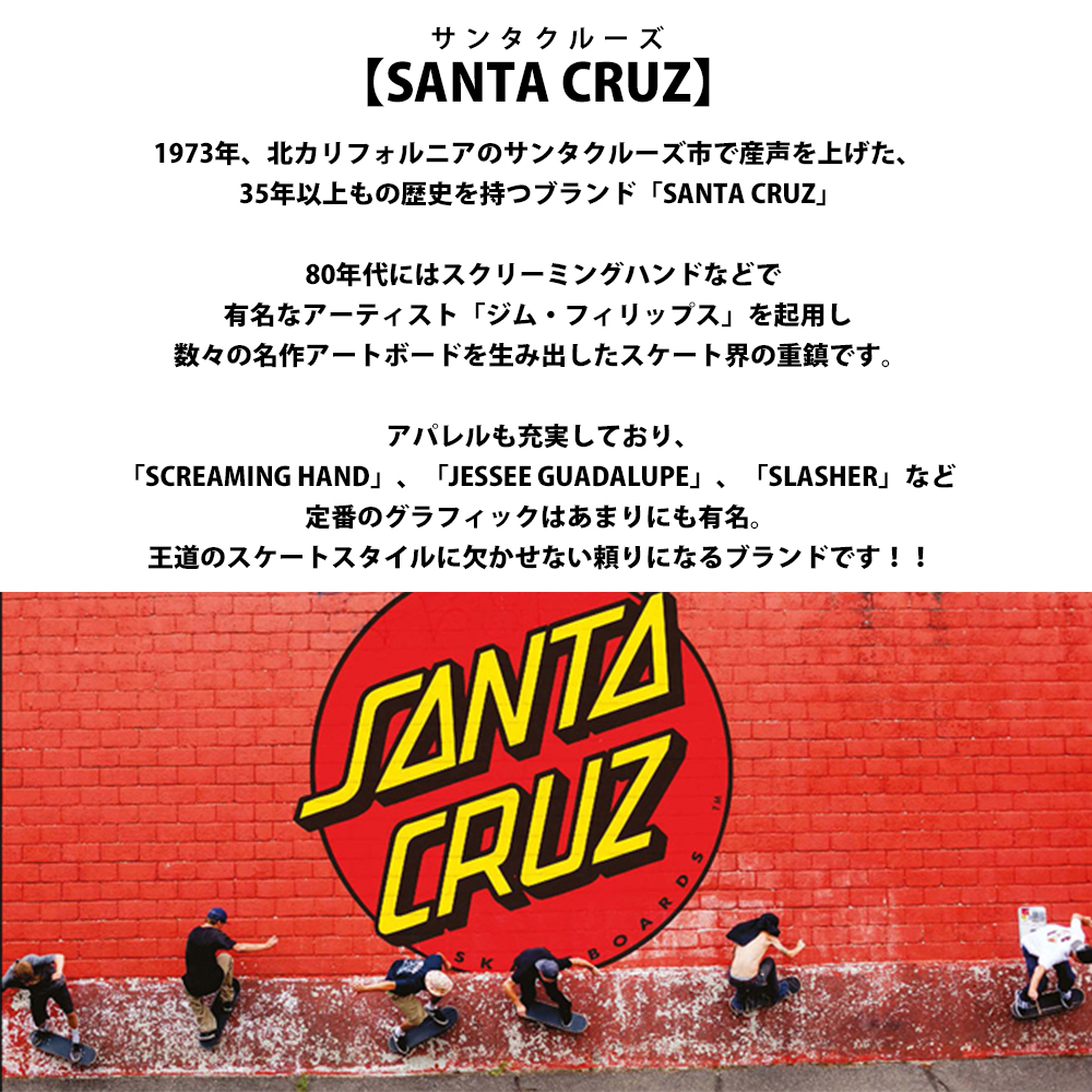 SANTA CRUZ サンタクルーズ ウエストバッグ バッグ ショルダー SANTA CRUZ サンタクルーズ ウエストバッグ バッグ ショルダー