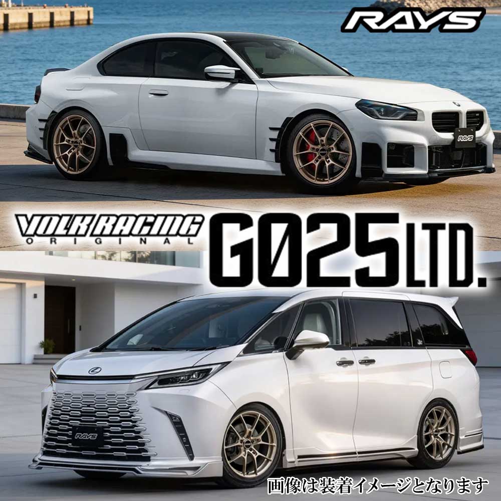 RAYS (4本価格) 20インチ 8.5J 5/114.3 レイズ ボルクレーシング G025