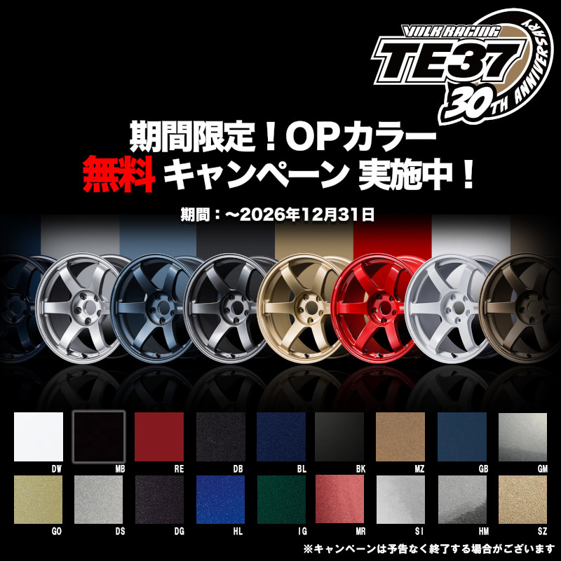 RAYS (1本価格) 16インチ 6.5J 4/100 レイズ ボルクレーシング TE37