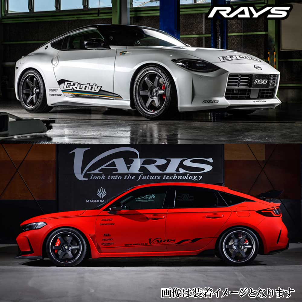 RAYS (1本価格) 19インチ 8.5J 5/114.3 レイズ ボルクレーシング TE37