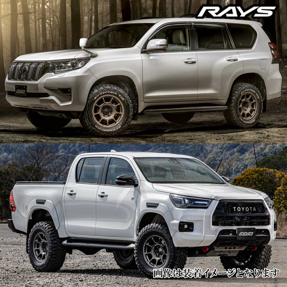 RAYS (1本価格) 17インチ 8.5J 5/127 レイズ ボルクレーシング ZE40X