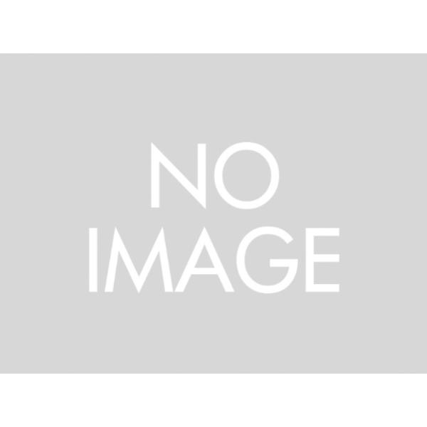 デイトナ GIVI SRA5106 アルミスペシャルラック C650GT(12-15)用 94797 DAYTONA 送料無料
