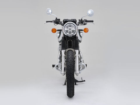 専用 デイトナ パイプエンジンガード W800/650 クロームメッキ カワサキ