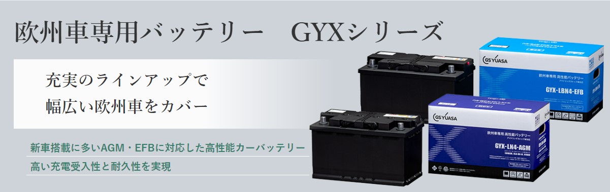 GYX-LN3-AGM GSユアサ バッテリー GYXシリーズ 寒冷地仕様 ミニ [R60 