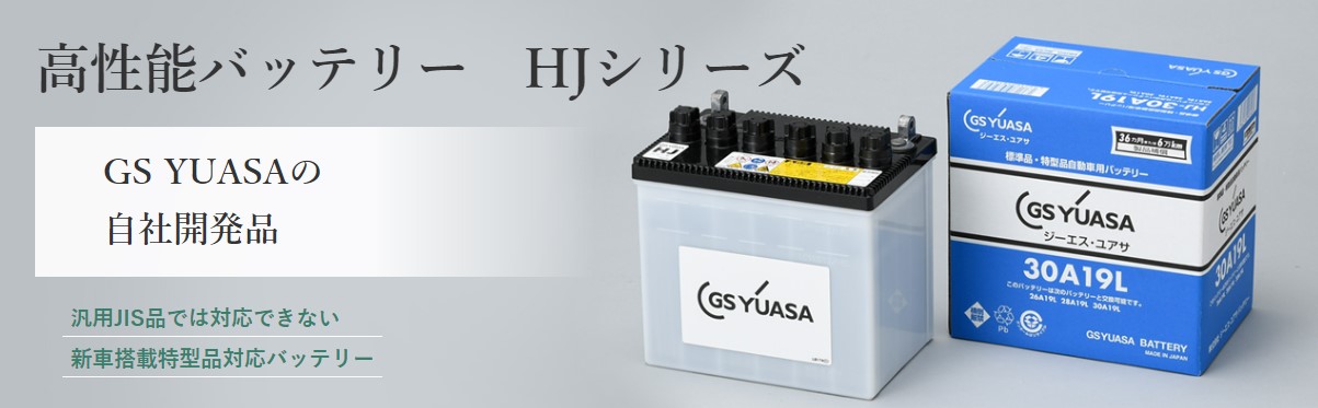 HJ-50D20L GSユアサ バッテリー HJシリーズ 標準仕様 デリカ GC-SK82VM