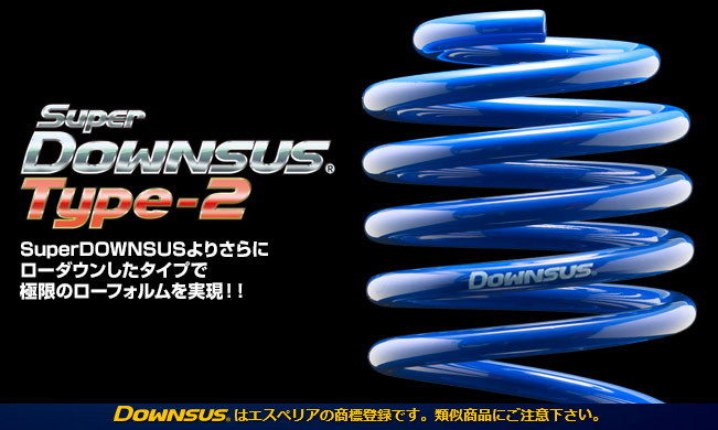 Espelir エスペリア Super Downsus Type-2 リア ピクシストラック S211U 品番:EST-3993Rの画像