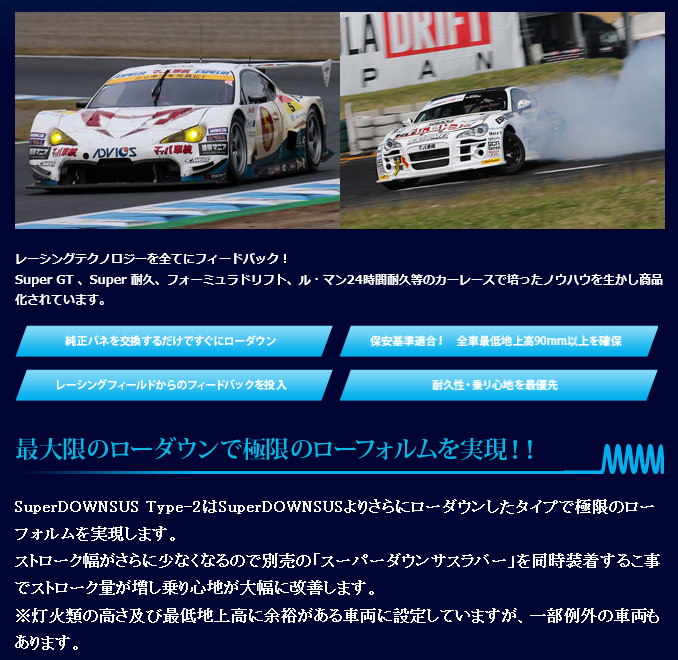 Espelir エスペリア Super Downsus Type-2 リア ピクシストラック S211U 品番:EST-3993Rの画像