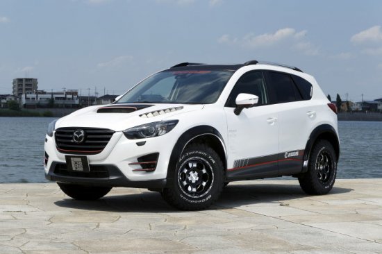 ロードハウス カディス アップコイル CX-5 KE型 SKYACTIV-D(SH-VPTS型)エンジン用 KADDIS カディス KD-SU06001の画像
