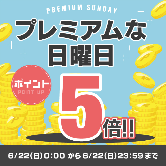 フィアット 500 フロアマット＋トランクマット ラゲッジマット 車 マット カーマット 重厚Profound HOTFIELD 光触媒抗菌加工 送料無料 | FIAT | 06