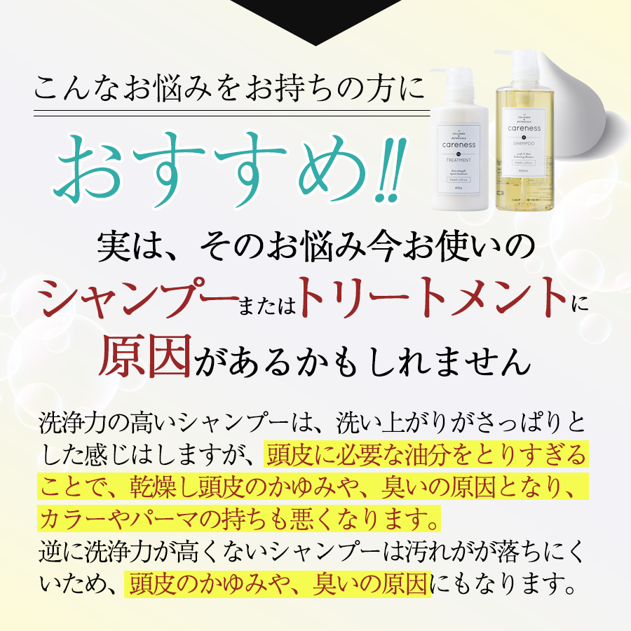 careness ケアネス 公式 シャンプー500ml 大ボトル 美容室専売