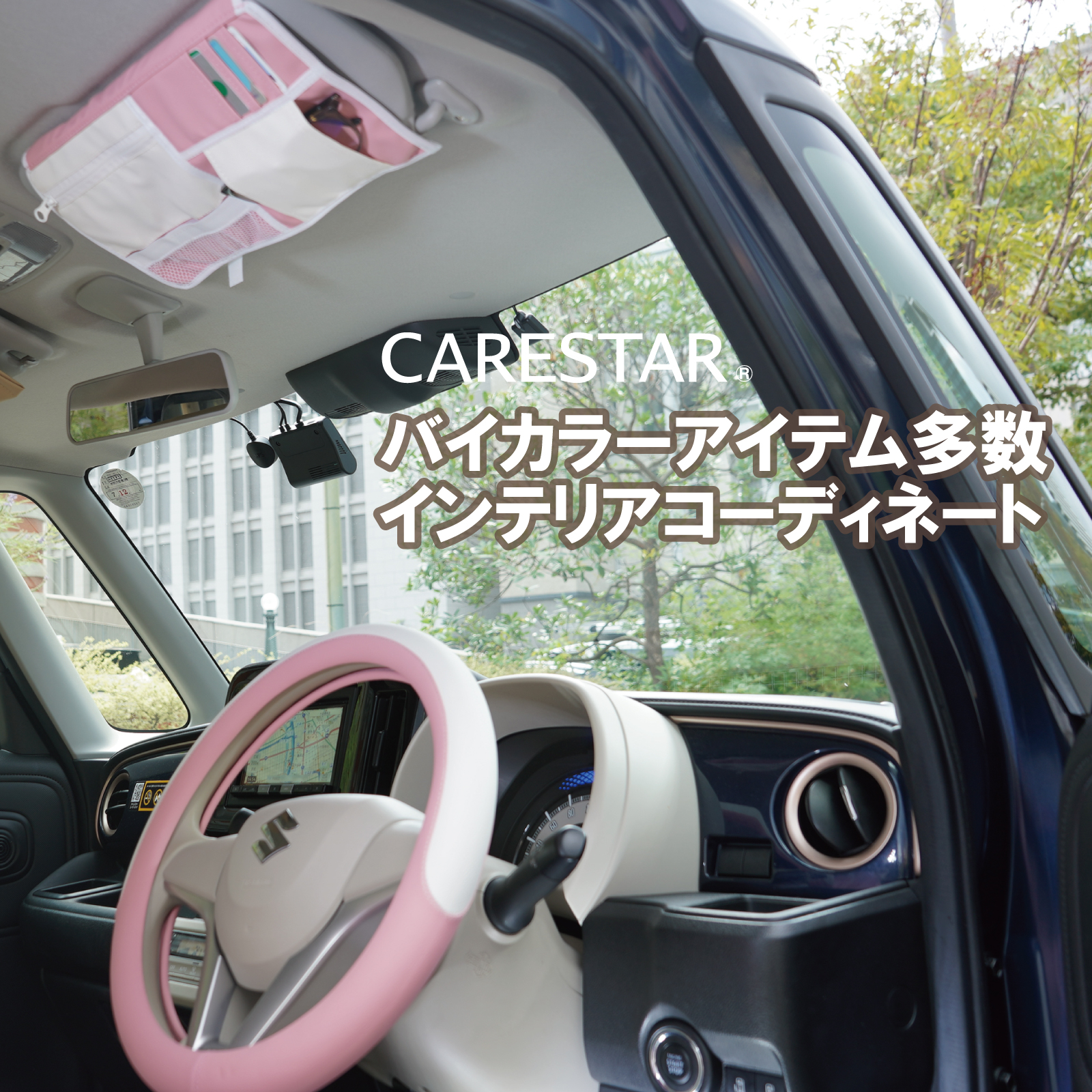 バイカラーサンバイザーケース CARESTAR