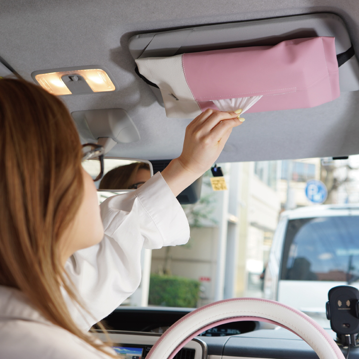 CARESTARバイカラーシリーズコーディネートセット19