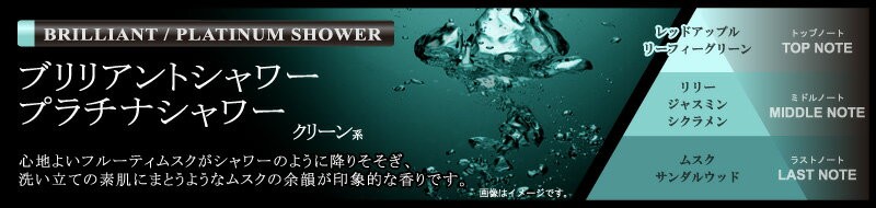 激安大特価 芳香剤 車 プラチナシャワー カーメイト L57 ブラングリキッド Bk Carmate1 527円 Aynaelda Com