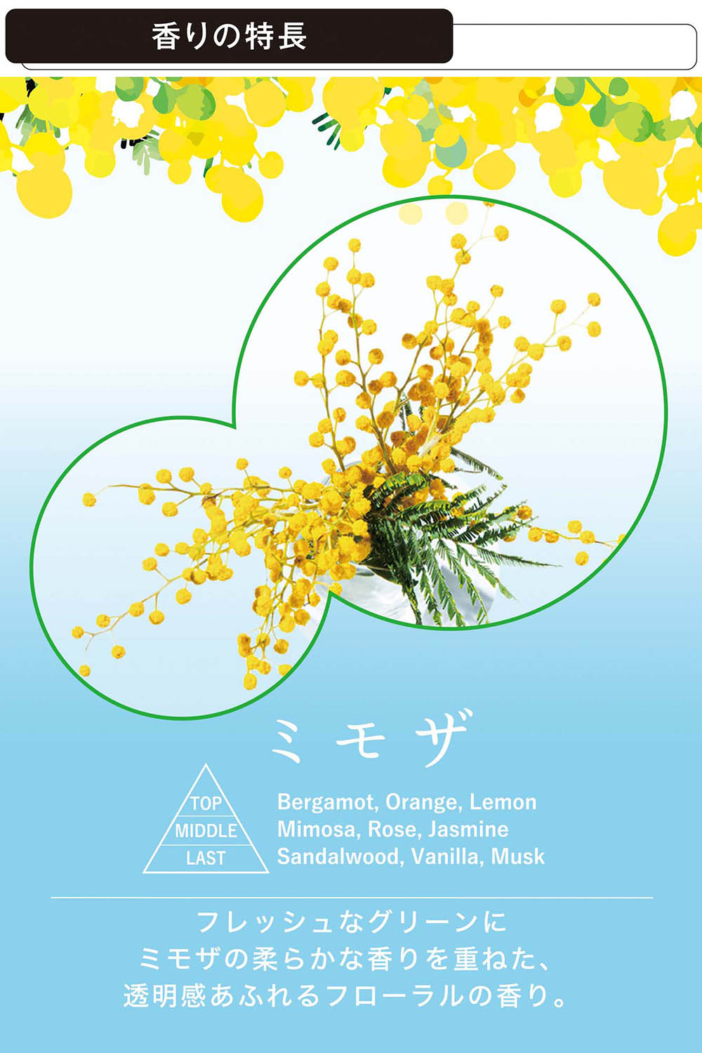 keiさん専用【フレッシュミモザ】 【公式通販】