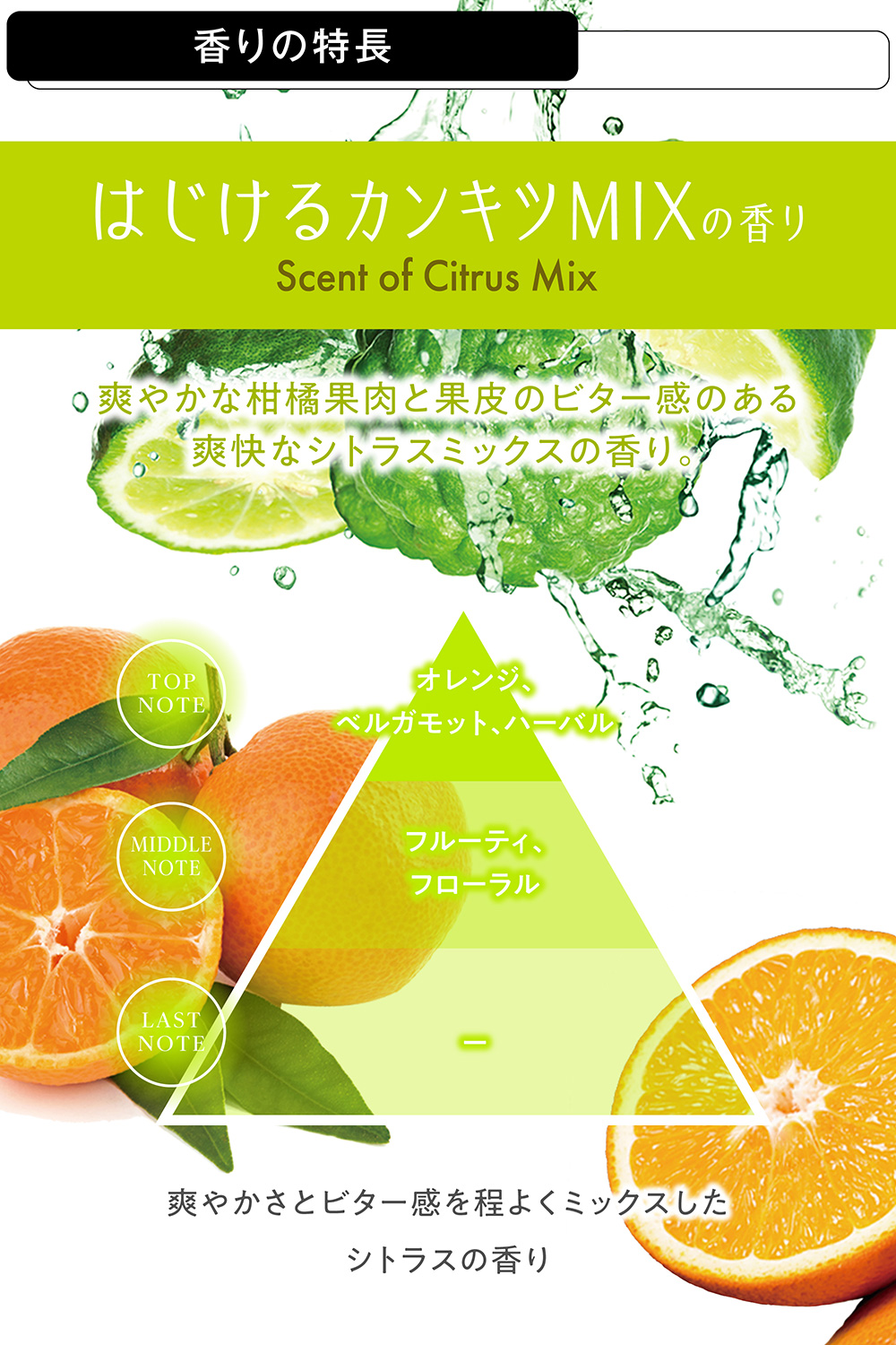 カミカ　季節の香り　３本セット KAMIKA 季節限定の香り 3種セット 【公式通販】