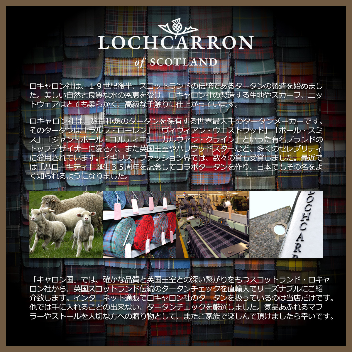 Lochcarron of Scotland ネクタイ ギフト 男性 ブランド メンズ