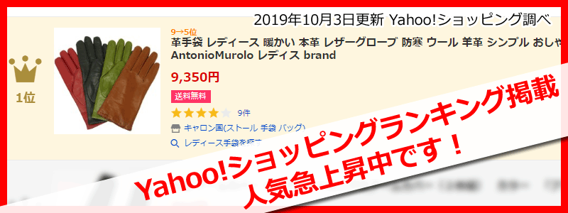 キャロン国-革手袋 レディース 暖かい 本革 レザーグローブ 防寒 ウール 羊革 シンプル おしゃれ イタリア AntonioMurolo レディス brand