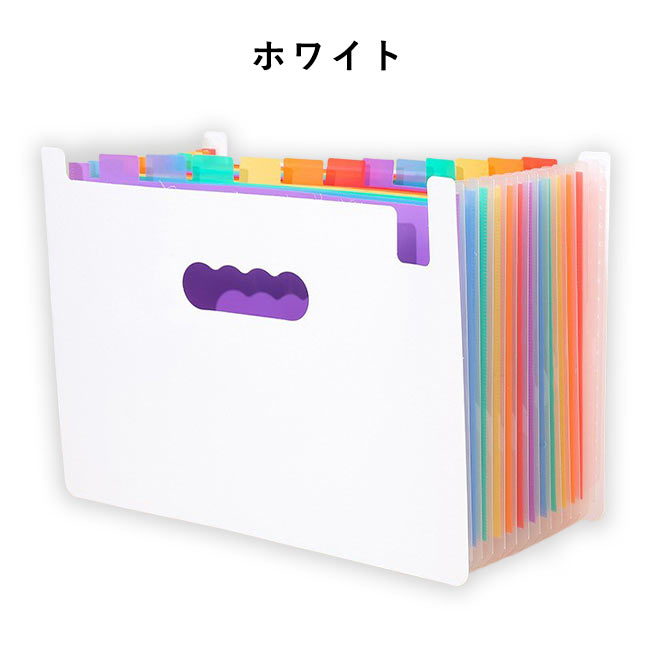 書類ケース ドキュメントスタンド A4 13ポケット ファイルケース