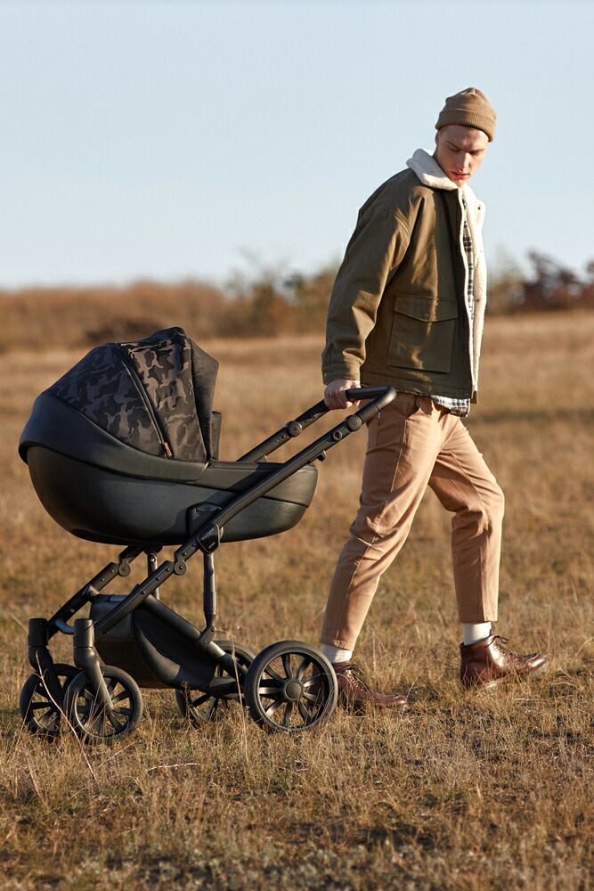 Anex m / type stroller special color 両対面 高級ベビーカー