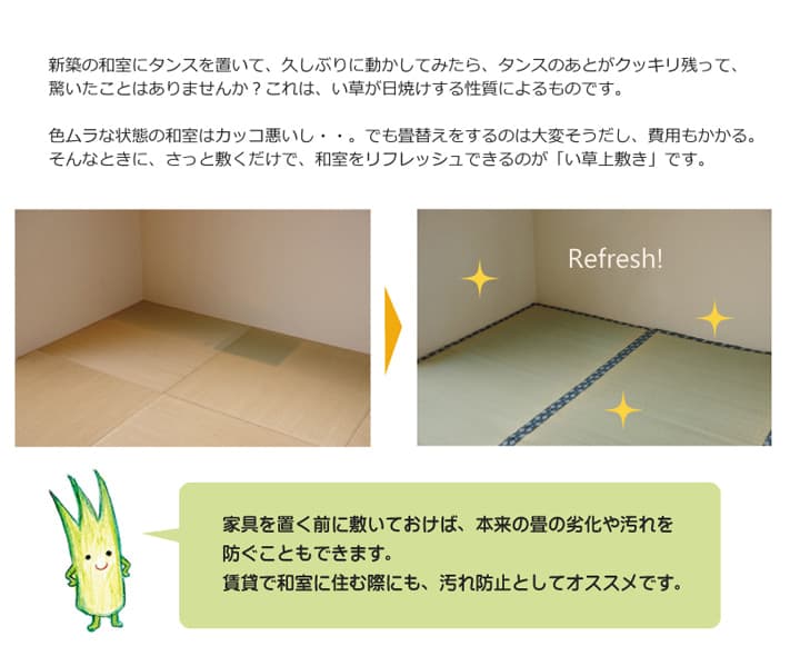 ほほえみ い草 ござ 国産 日本製 上敷き 和室 敷物 カーペット 江戸間 お手入れ簡単 夏 抗菌防臭 調湿 消臭 空気清浄 汚れにくい_2