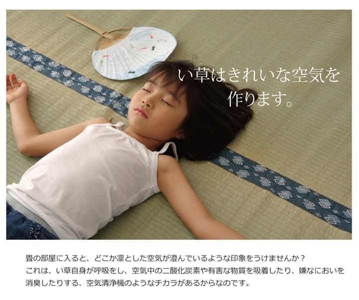 ほほえみ い草 ござ 国産 日本製 上敷き 和室 敷物 カーペット 江戸間 お手入れ簡単 夏 抗菌防臭 調湿 消臭 空気清浄 汚れにくい_8