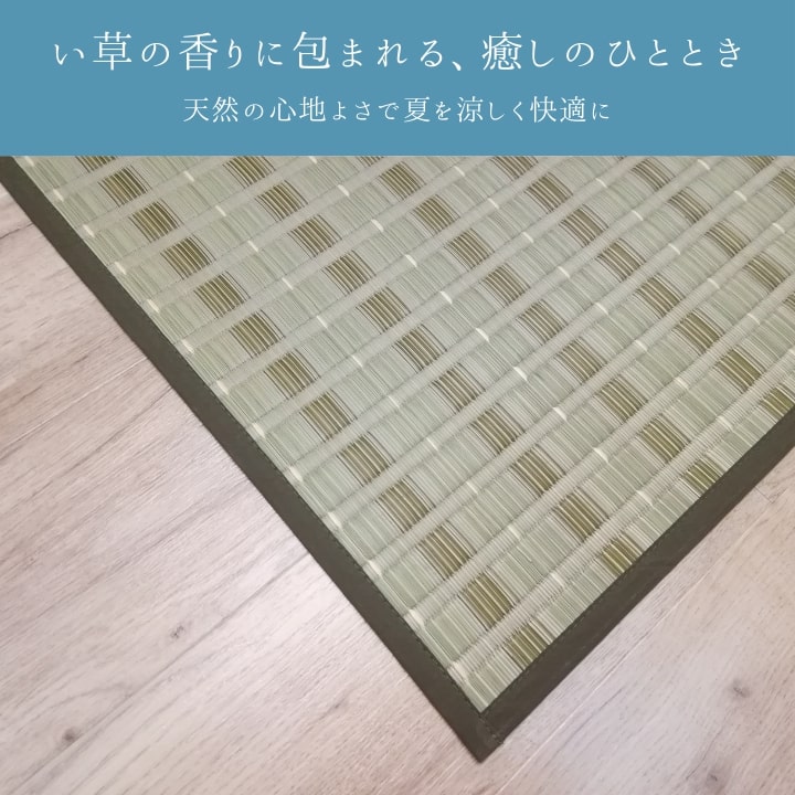 い草カーペット 清風 261×352cm_2