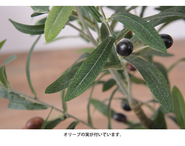 フェイクグリーン オリーブ 室内用 人工観葉植物 おしゃれ インテリアグリーン GRN-17 フェイクグリーン オリーブ_5