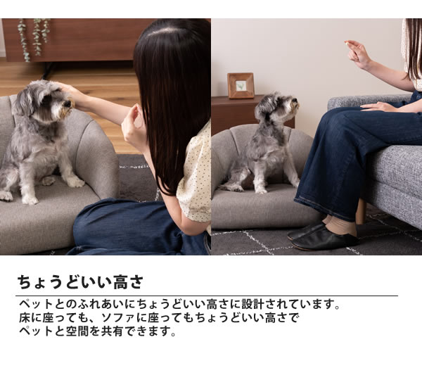 ミニソファー おしゃれ 軽い ロータイプ ペット キッズ ミニ プチ PET-71GY/IV ペットソファ｜casarior-living｜07