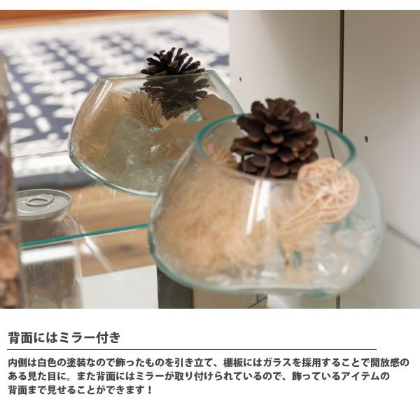 コレクションキャビネット ロータイプ 幅80 おしゃれ 北欧 シェルフ リビング収納 ワイド ガラスケース ディスプレイ PT-613 BR/NA コレクションシェルフ ロー_5
