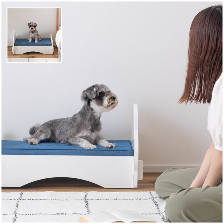 ペットベッド ペット用ミニベッド 幅40 犬用 猫用 小型 クッション付き おしゃれ 北欧 PET-69 BR/WHの画像