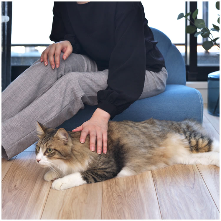 ペットソファー ペット用ミニソファ 幅59 おしゃれ 犬用 猫用 室内 小型 コットン 綿 PET-65 ペット ソファ_10