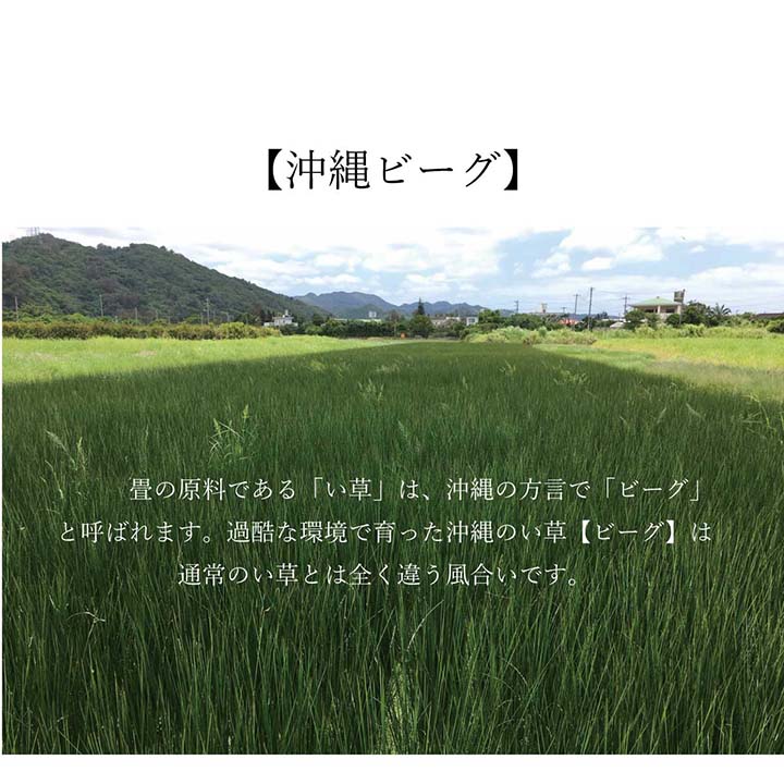 沖縄ビーグ 普通版正方形 ラグ マット 正方形 い草 夏用 沖縄ビーグ 191×191cm_1
