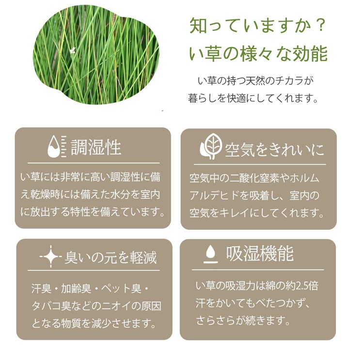 DXヴィオラ い草 い草ラグ カーペット 国産 日本製 高級感 エレガンス 和室 リビング 滑り止め お手入れ簡単 夏_10