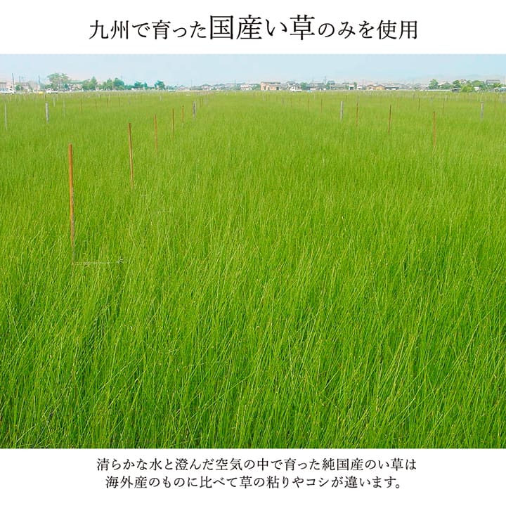 京刺子 い草 ござ 花ござ 国産 日本製 上敷き 和室 敷物 カーペット ラグ 本間 モダン パッチワーク お手入れ簡単 夏_5