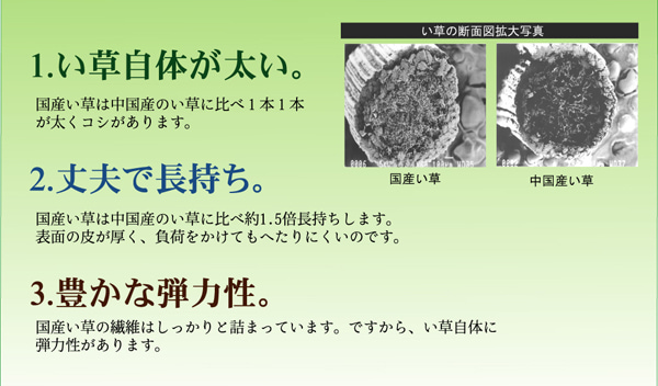 奥丹後 い草 ござ 国産 日本製 上敷き 和室 敷物 カーペット 本間 掛川織 お手入れ簡単 夏 抗菌防臭 調湿 消臭 空気清浄 汚れにくい