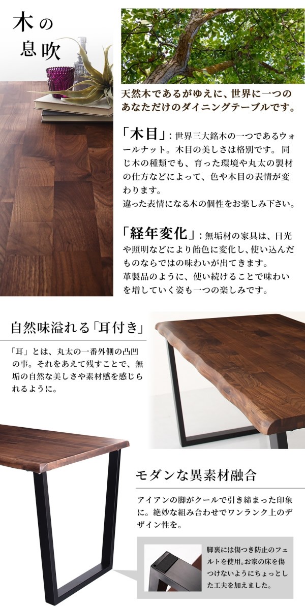 100b02464_4