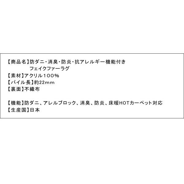 100c01705_9