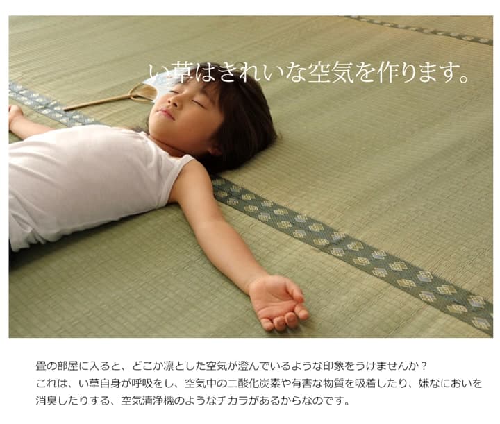 松 い草 ござ 国産 日本製 上敷き 和室 敷物 カーペット お手入れ簡単 夏 抗菌防臭 調湿 消臭 空気清浄 汚れにくい_7