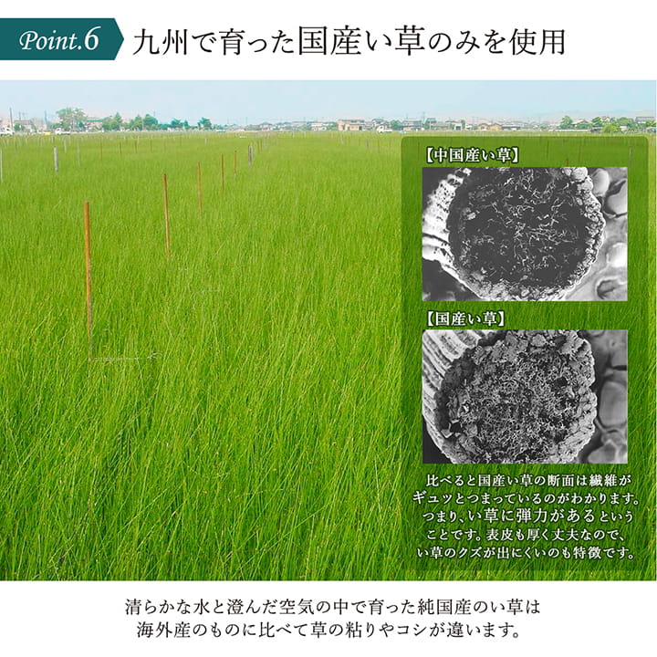 ヨガ yoga 癒しマット 国産 おすすめ い草 畳 ヨガ yoga 癒し スカイシー 約66×185cm