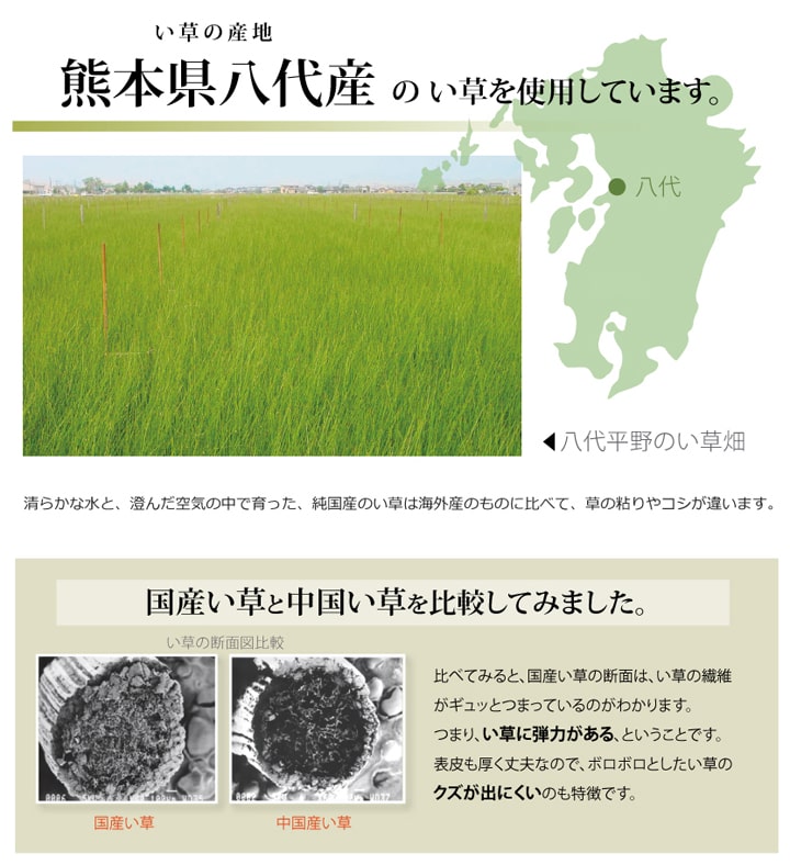 F不知火 い草 ござ 国産 日本製 上敷き 和室 敷物 カーペット 本間 フリーカット 市松柄 お手入れ簡単 夏 抗菌防臭 調湿 消臭 空気清浄 汚れにくい_4