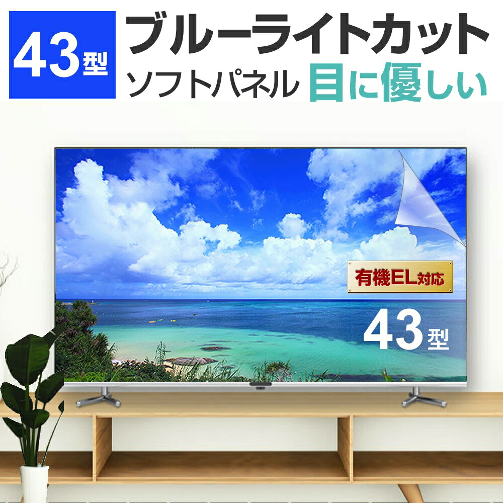 ハイセンス 43A68G [43インチ] 液晶テレビ保護パネル 43型 ブルー 