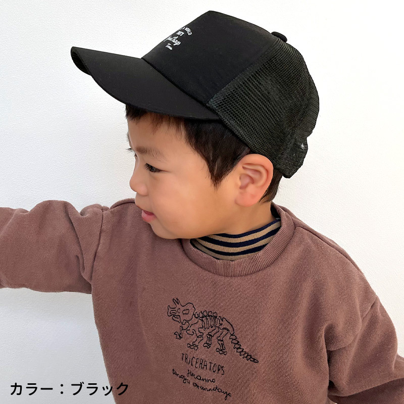 kd-sha08.jpg