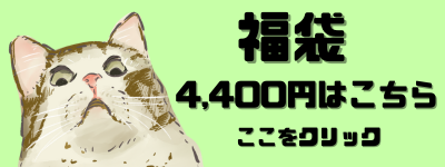 2026年 福袋 ねこのくに 3300円 猫雑貨 3300円コース 満足にゃんこ袋