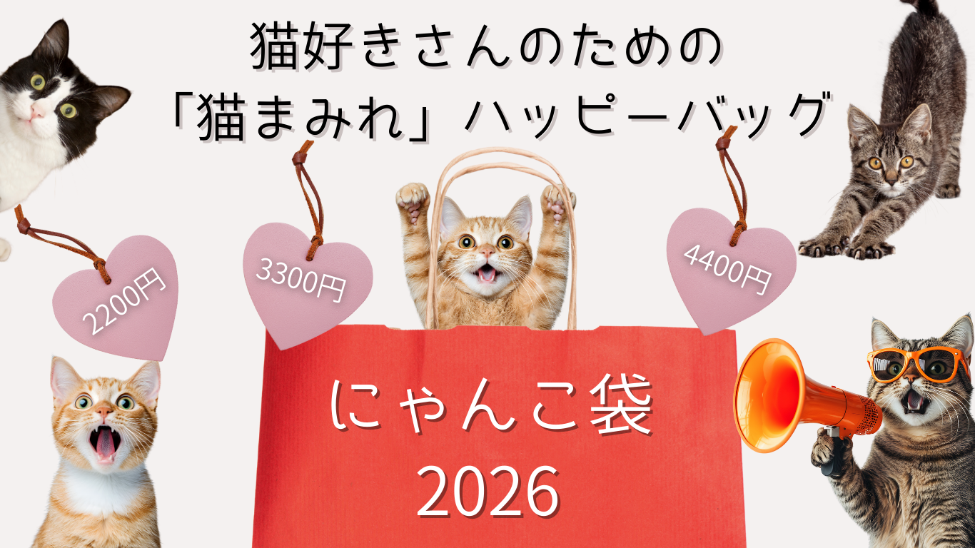 2026年 福袋 ねこのくに 3300円 猫雑貨 3300円コース 満足にゃんこ袋